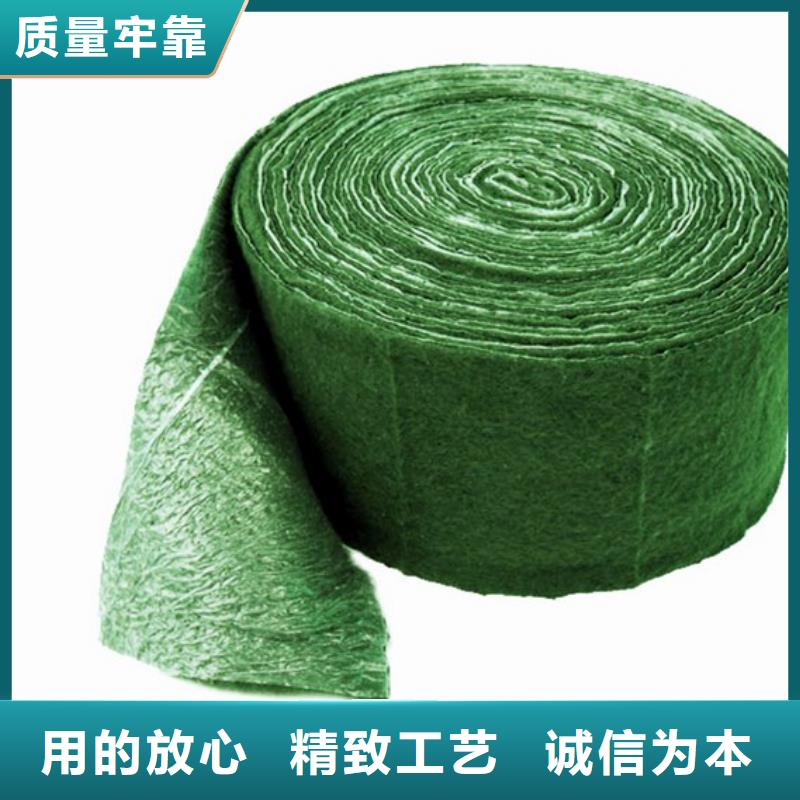 买缠树带必看-值得信赖