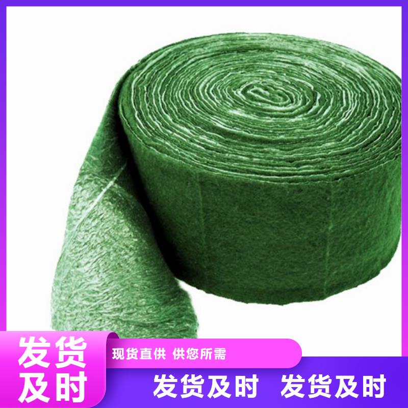 买缠树带必看-图文介绍