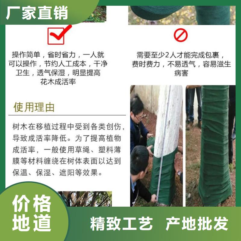 卖缠树带的批发商