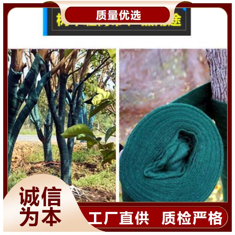 缠树带-多年大厂