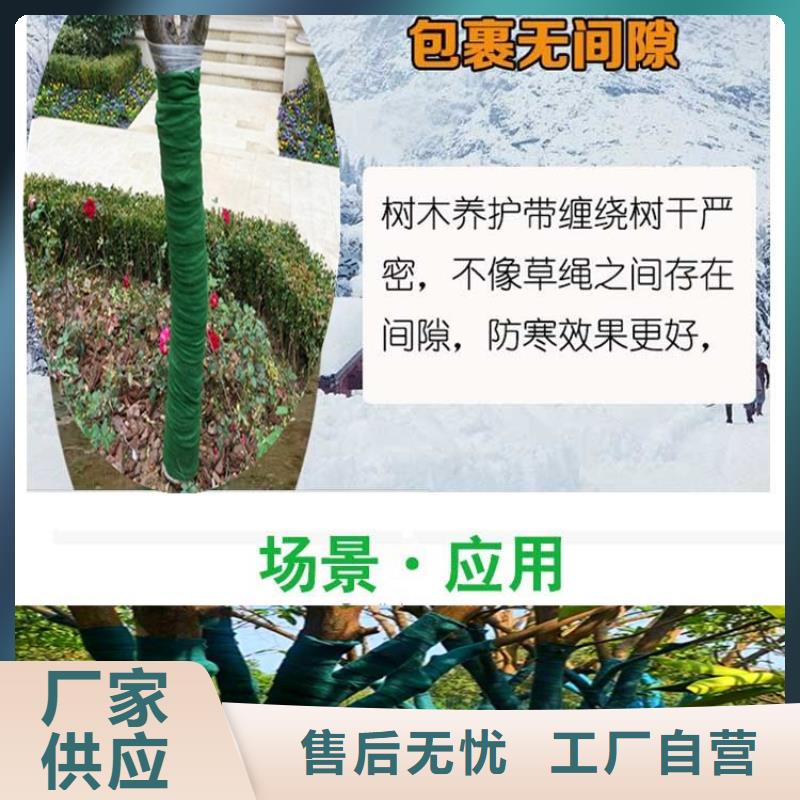 缠树带实体厂家质量有保障