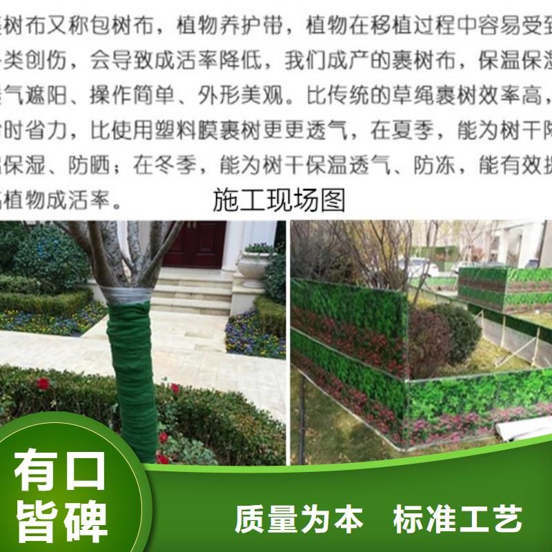 缠树带-全国接单