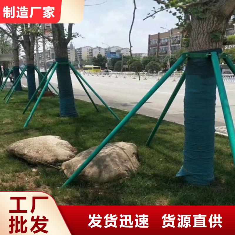买缠树带必看-图文介绍