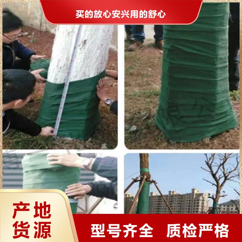 缠树带实体厂家质量有保障