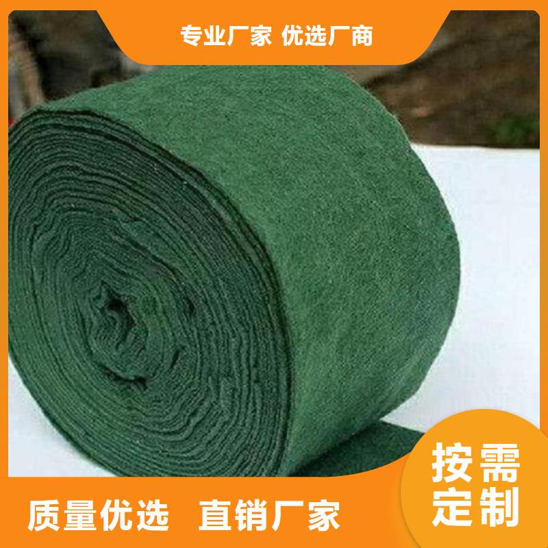 缠树带工厂货源