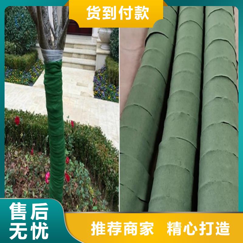 买缠树带必看-图文介绍
