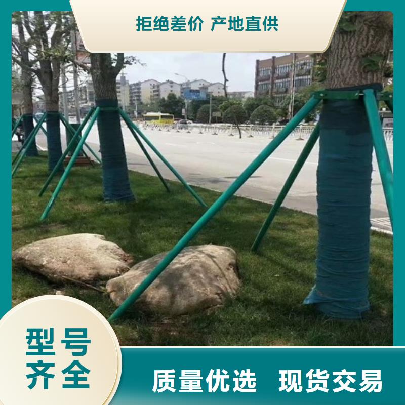 值得信赖的缠树带生产厂家
