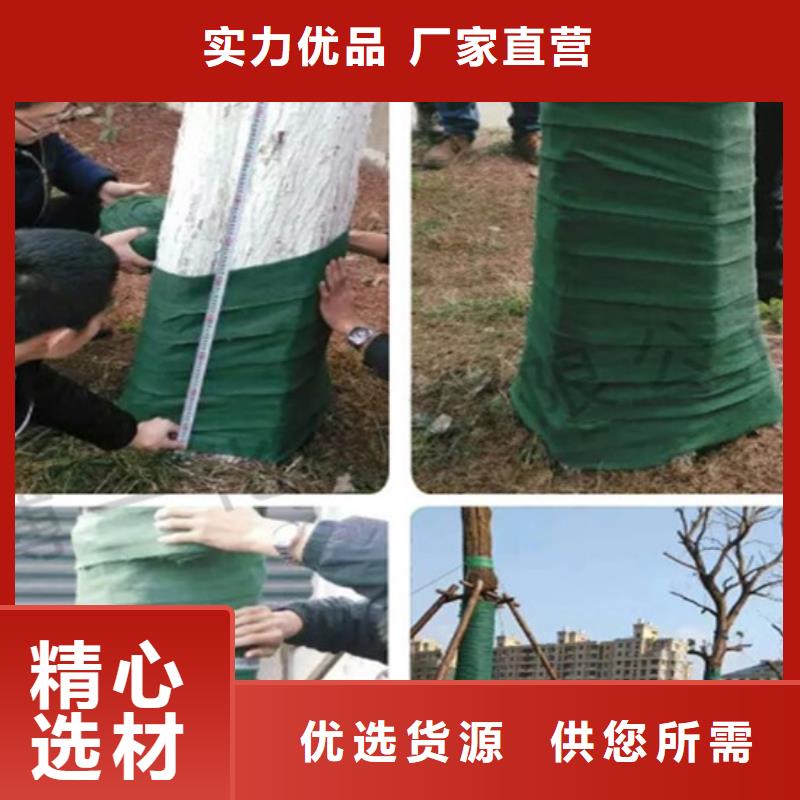 缠树带-缠树带放心之选
