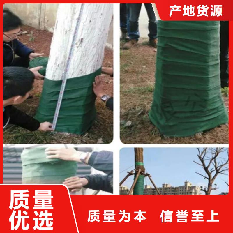 定做缠树带