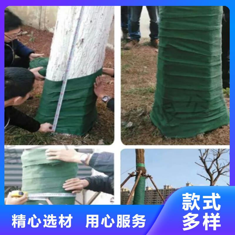 缠树带-好产品用质量说话