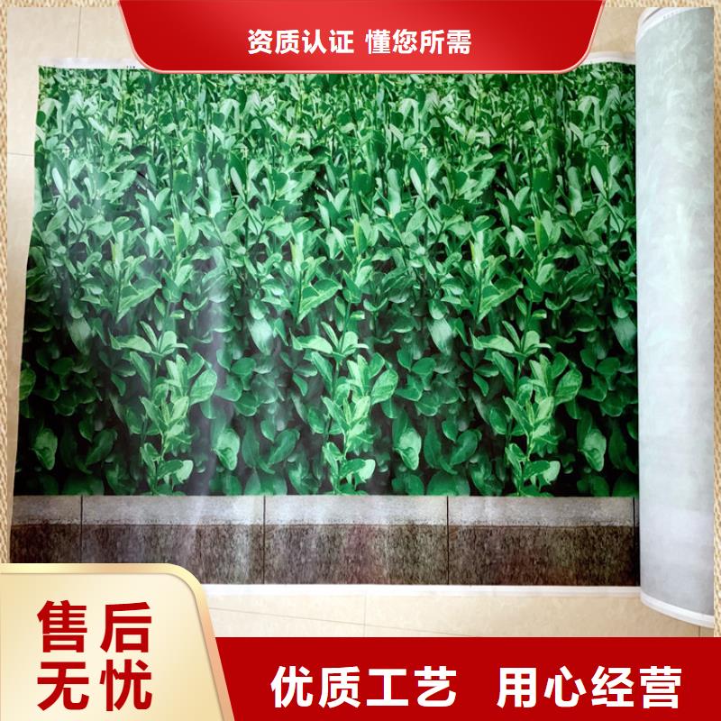 商河印花防寒布批发