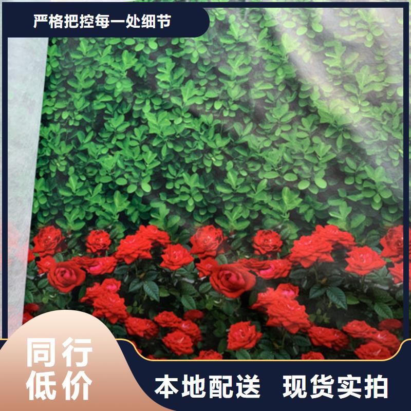 优选商河印花防寒布