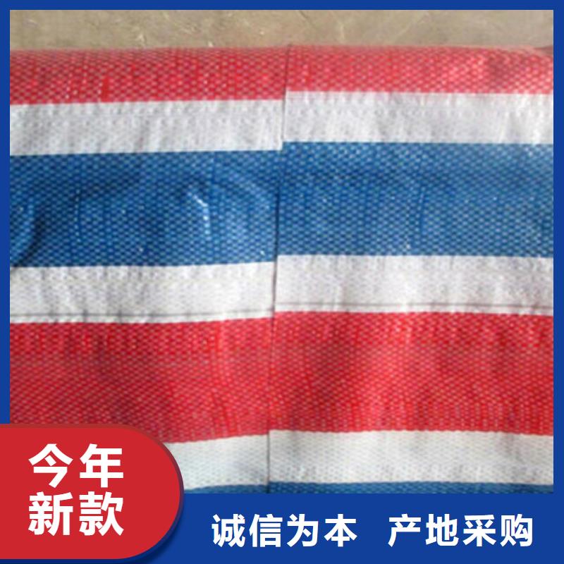 2025型号齐全#彩条布#直接报价