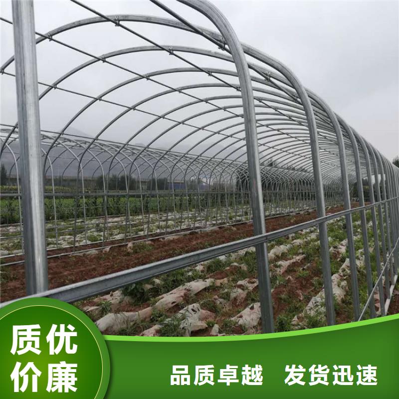 长乐大棚管厂家直供