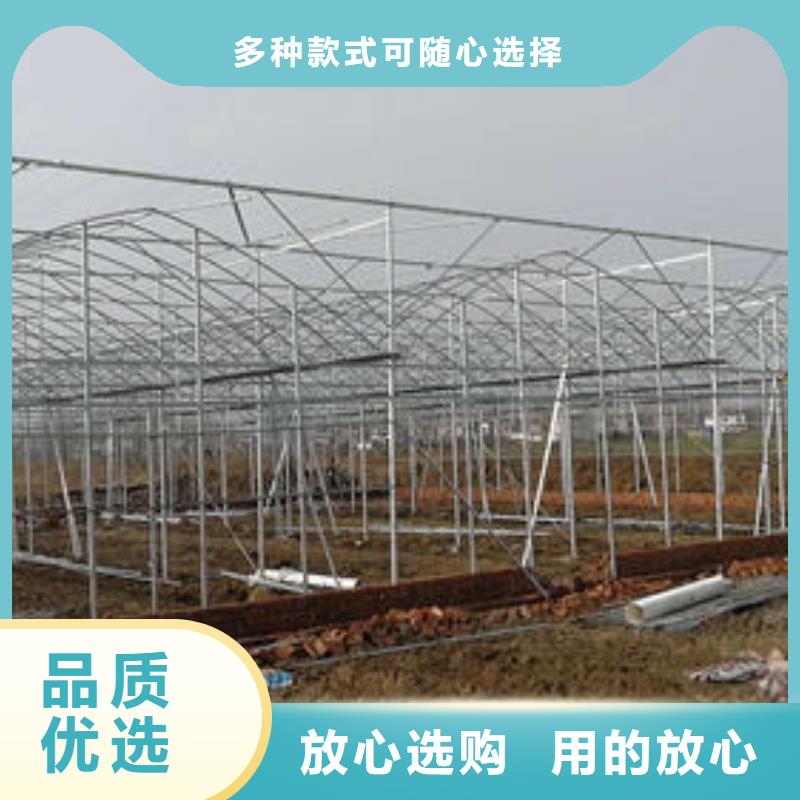 温室大棚管品种齐全的厂家