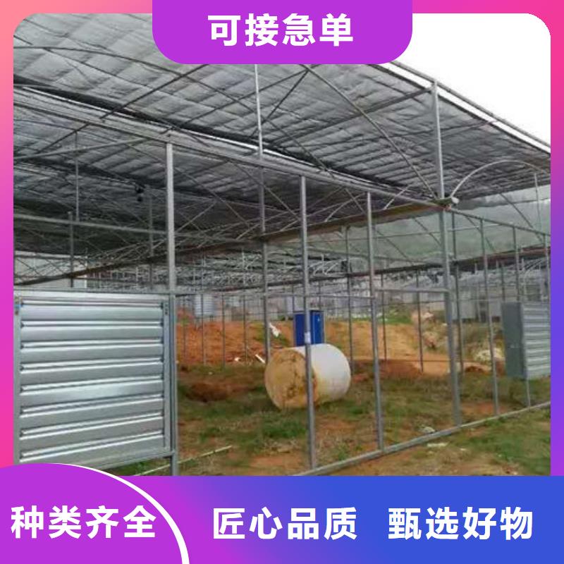 温室大棚管客户信赖