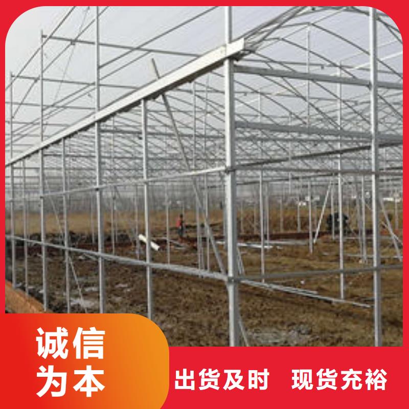注重温室大棚管质量的厂家