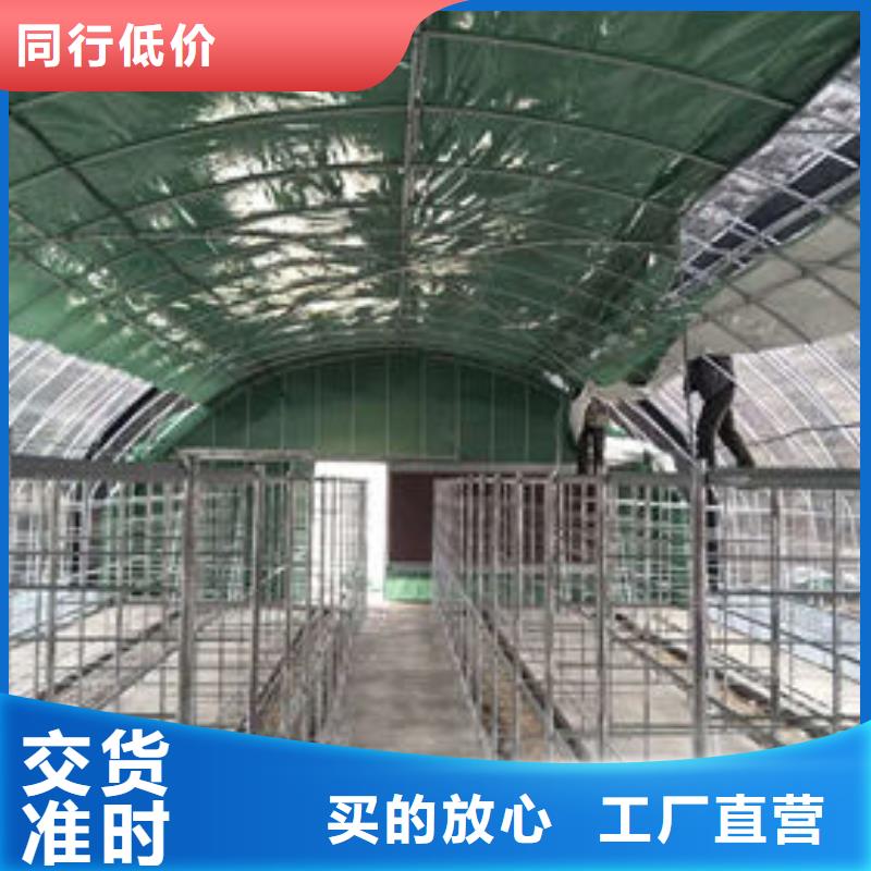 有现货的温室大棚管供应商