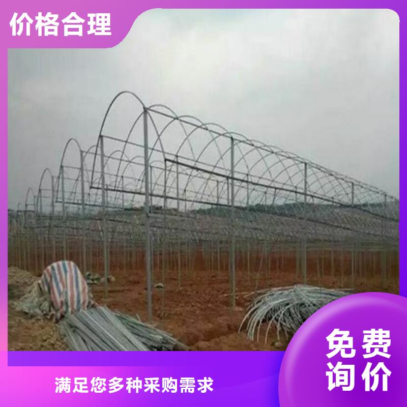 温室大棚管-放心采购