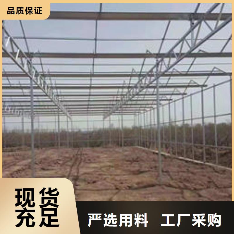 镀锌大棚管优选厂商