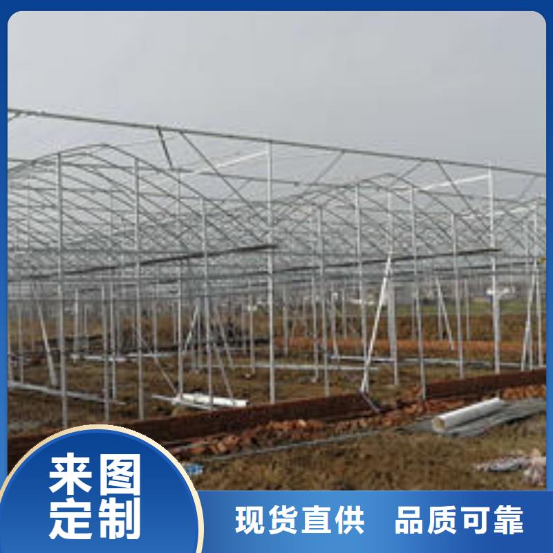 镀锌大棚管优选厂商