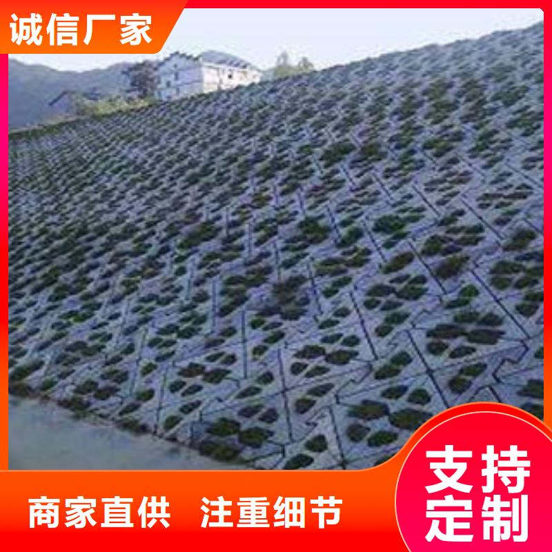 河道生态护坡厂家-泰科芯环保技术有限公司