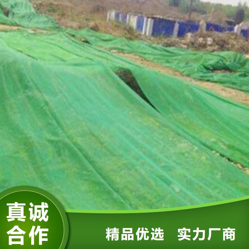 防尘网厂家可靠优惠