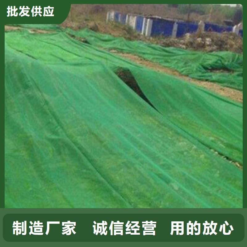 附近防尘网厂家
