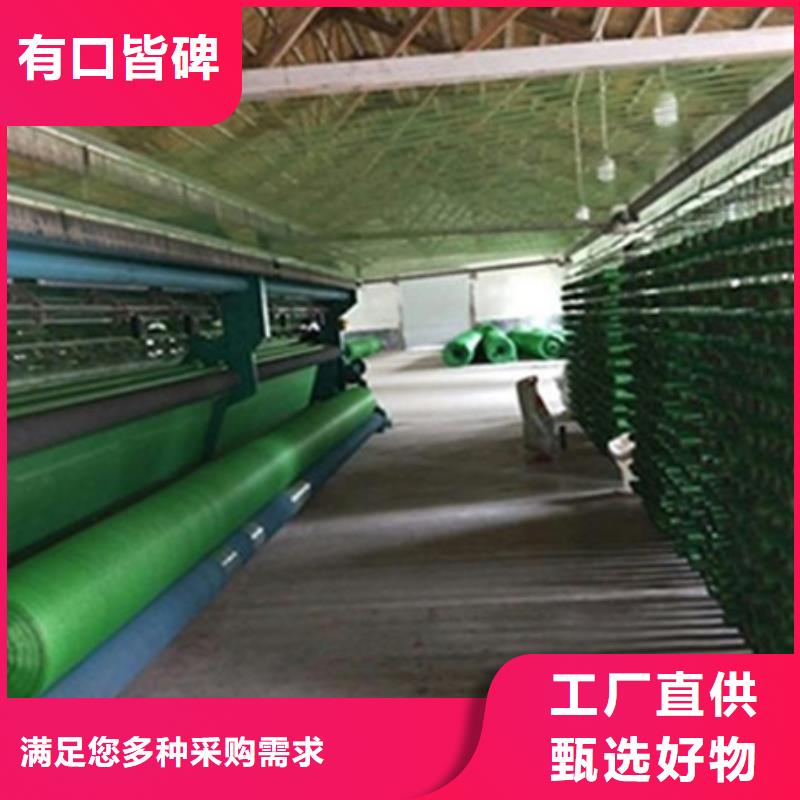 长乐遮阳网-高质量遮阳网