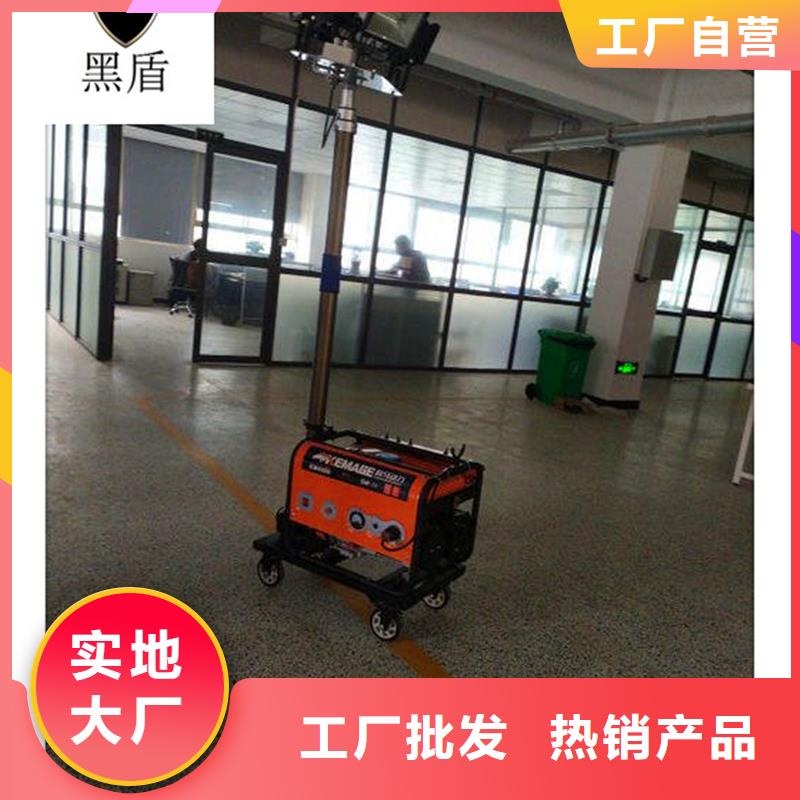 车载移动照明灯 产品种类