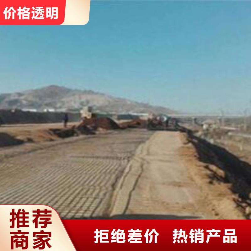2025厂家直销##钢塑土工格栅##价格合理