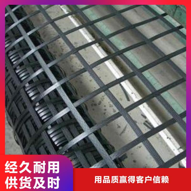 规格全的钢塑土工格栅实体厂家