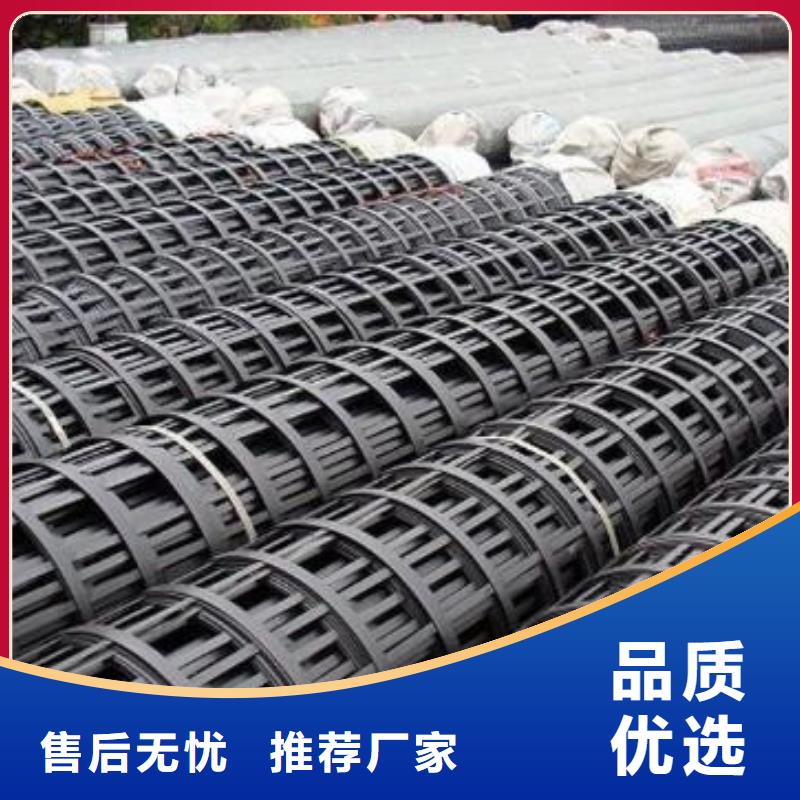 2025源头厂家#钢塑土工格栅#专业定制