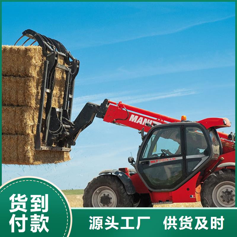 2025源头厂家#叉装车#专业定制