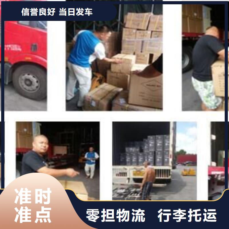价格低的承德回程运输生产厂家