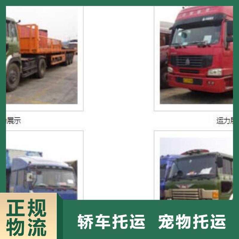 焦作回程运输精选厂商