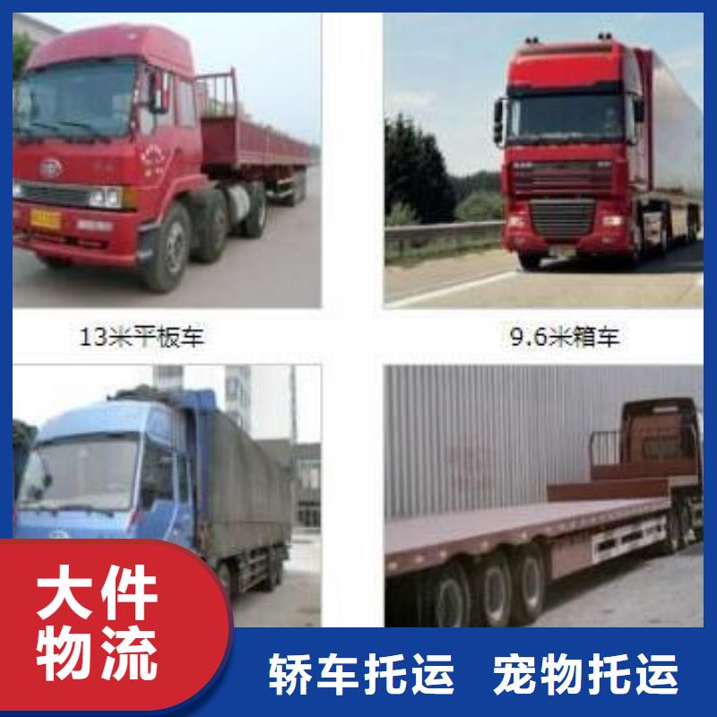 在山南销售回程运输的厂家地址