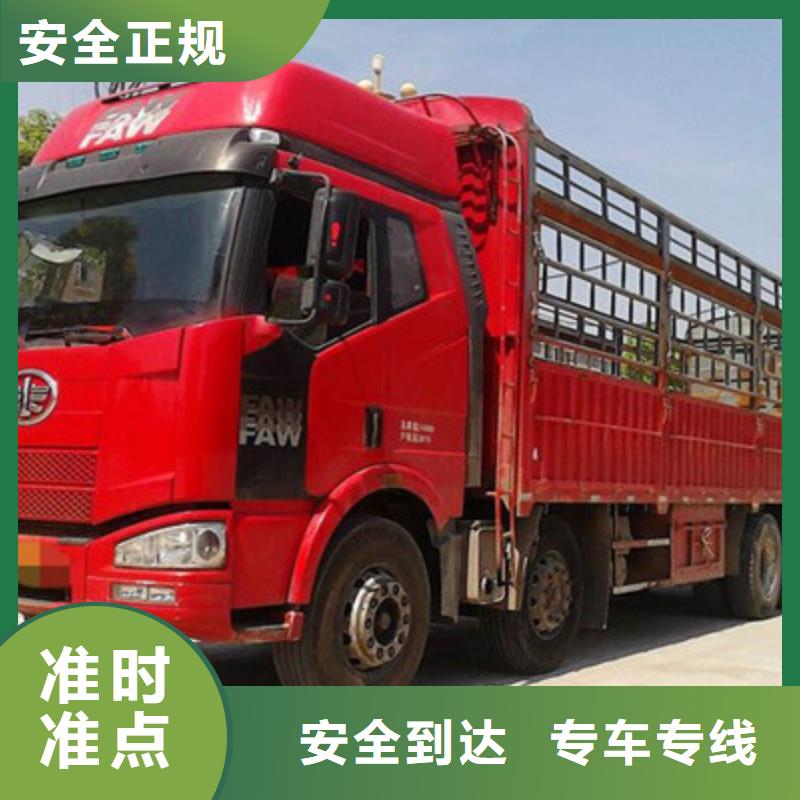 专车生产厂家-型号齐全