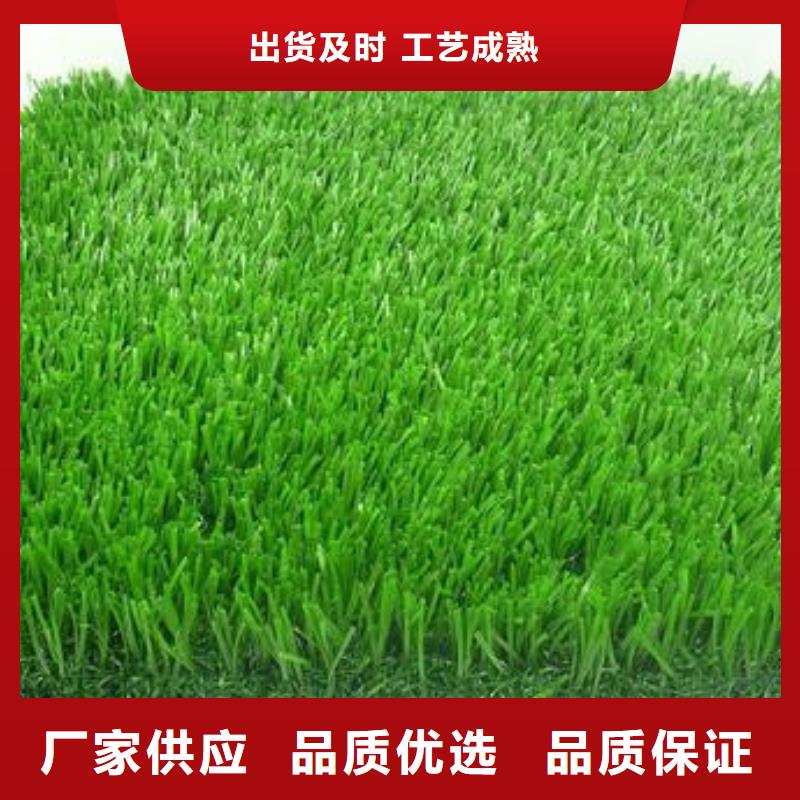 人造草坪批量采购