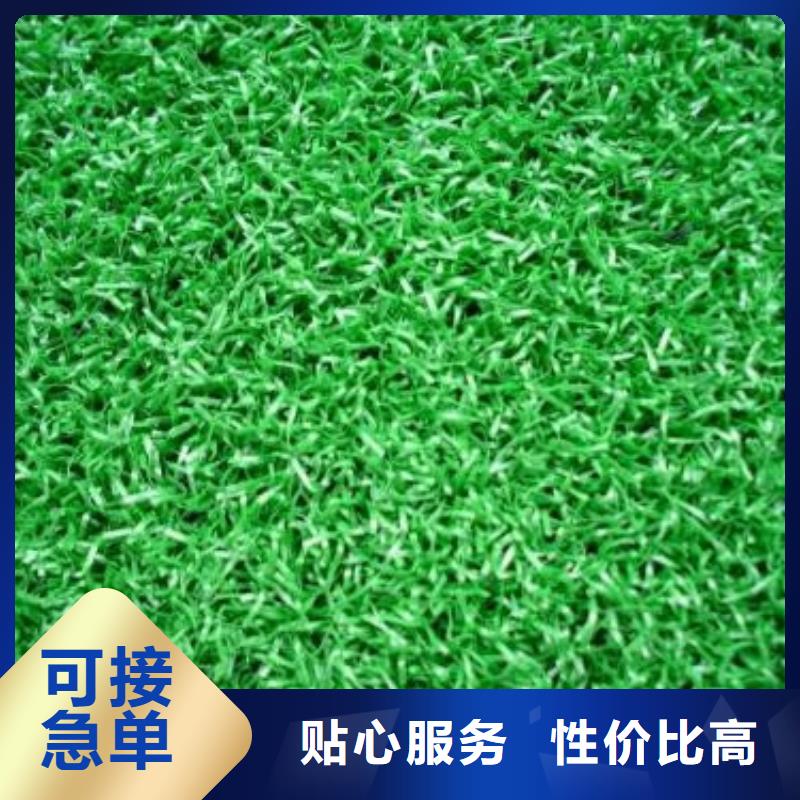 人造草坪口碑评价