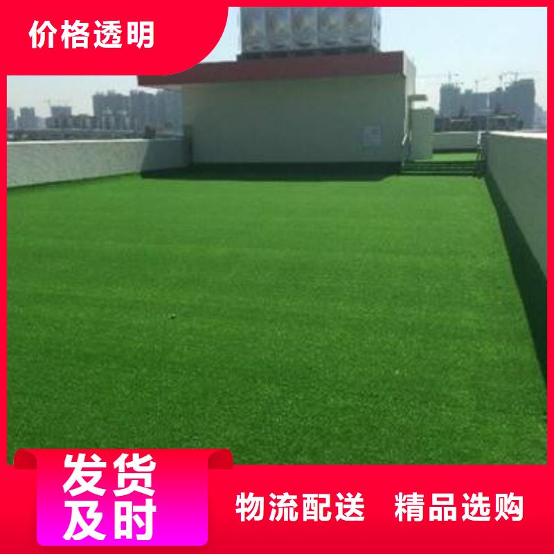 人造草坪实力大厂家