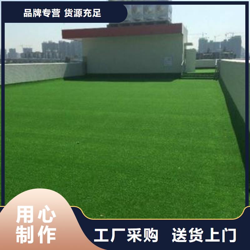 人造草坪免费询价