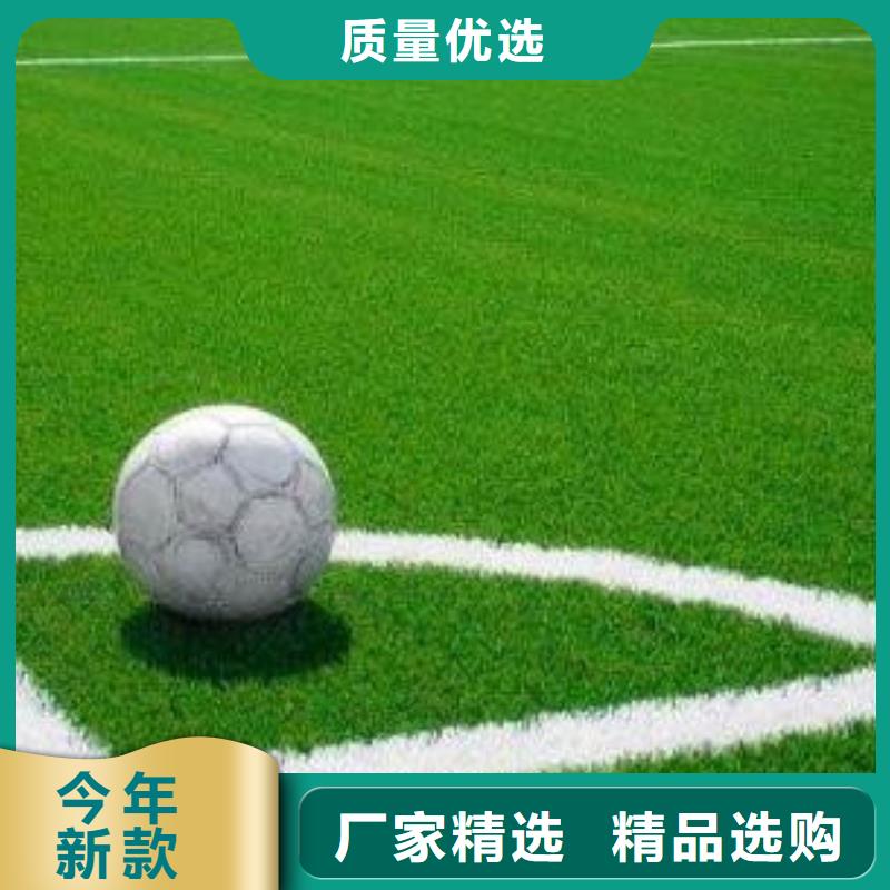 人造草坪厂家市场价