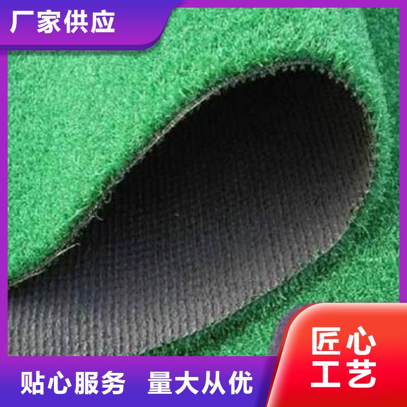 人造草坪多年老厂