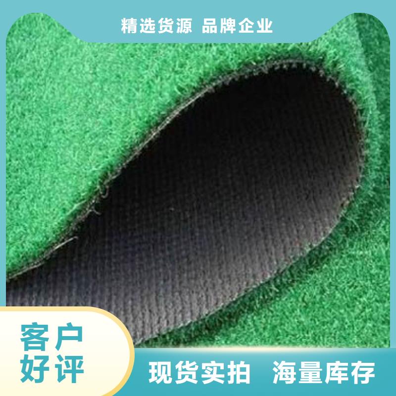 人造草坪厂家实力雄厚