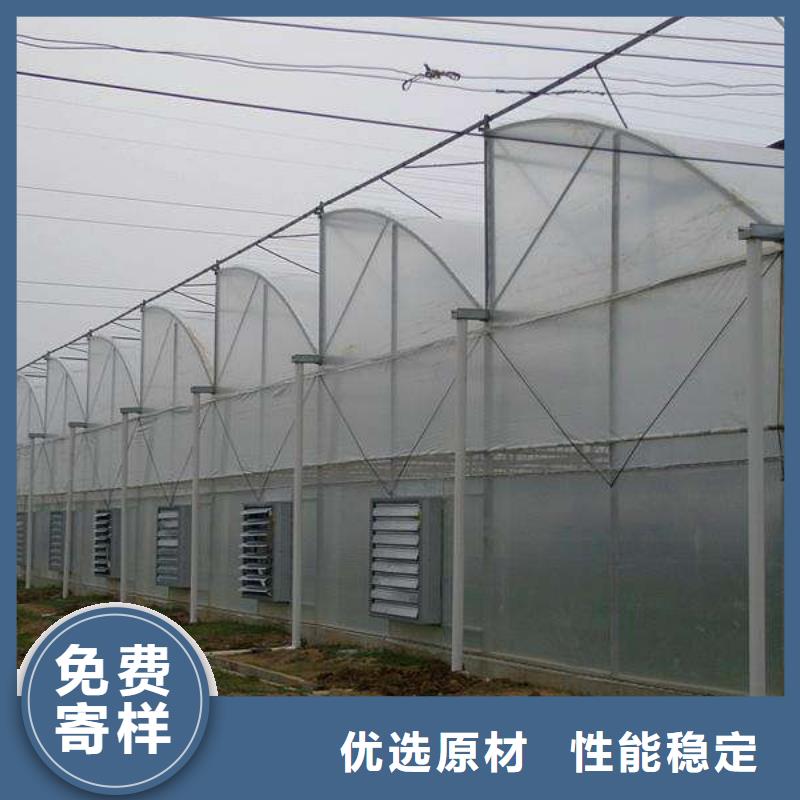 蔬菜大棚_多年制造经验