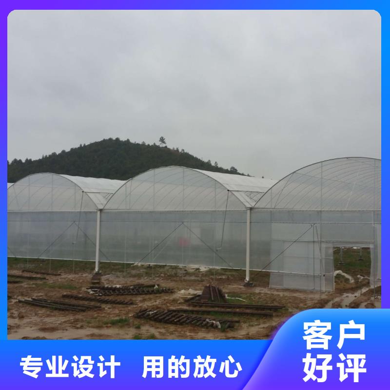 蔬菜大棚质量优质