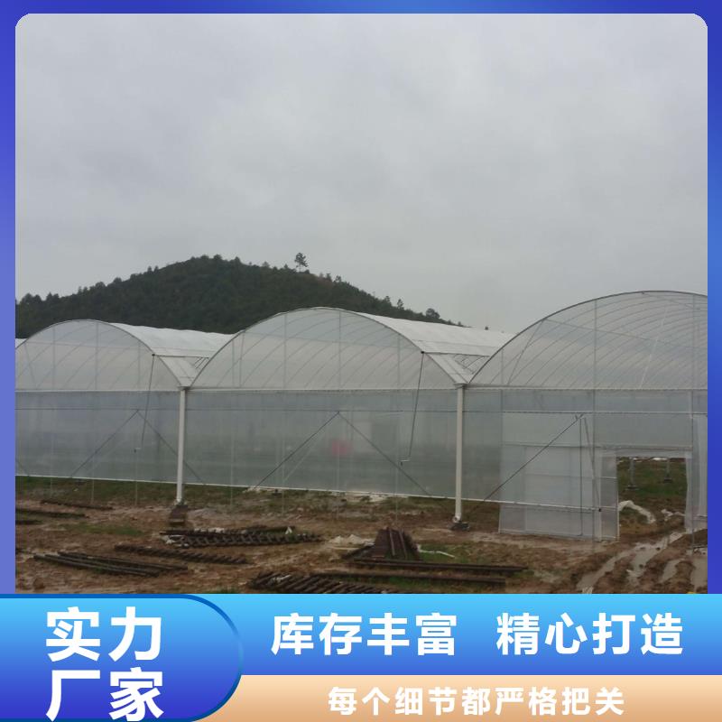 规格全的蔬菜大棚供货商