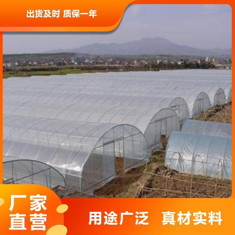 价格低的蔬菜大棚供货商