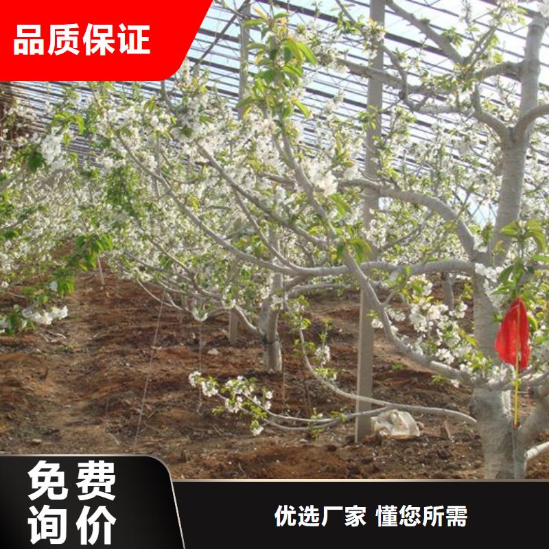 蔬菜大棚、蔬菜大棚参数